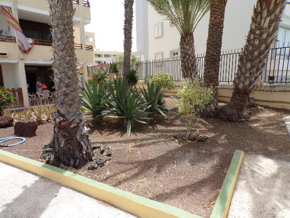 Los Juncos 403 Playa Del Ingles Exterior photo